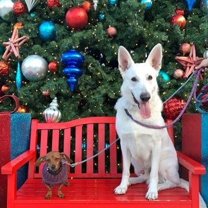 Meet your Posher, Julian